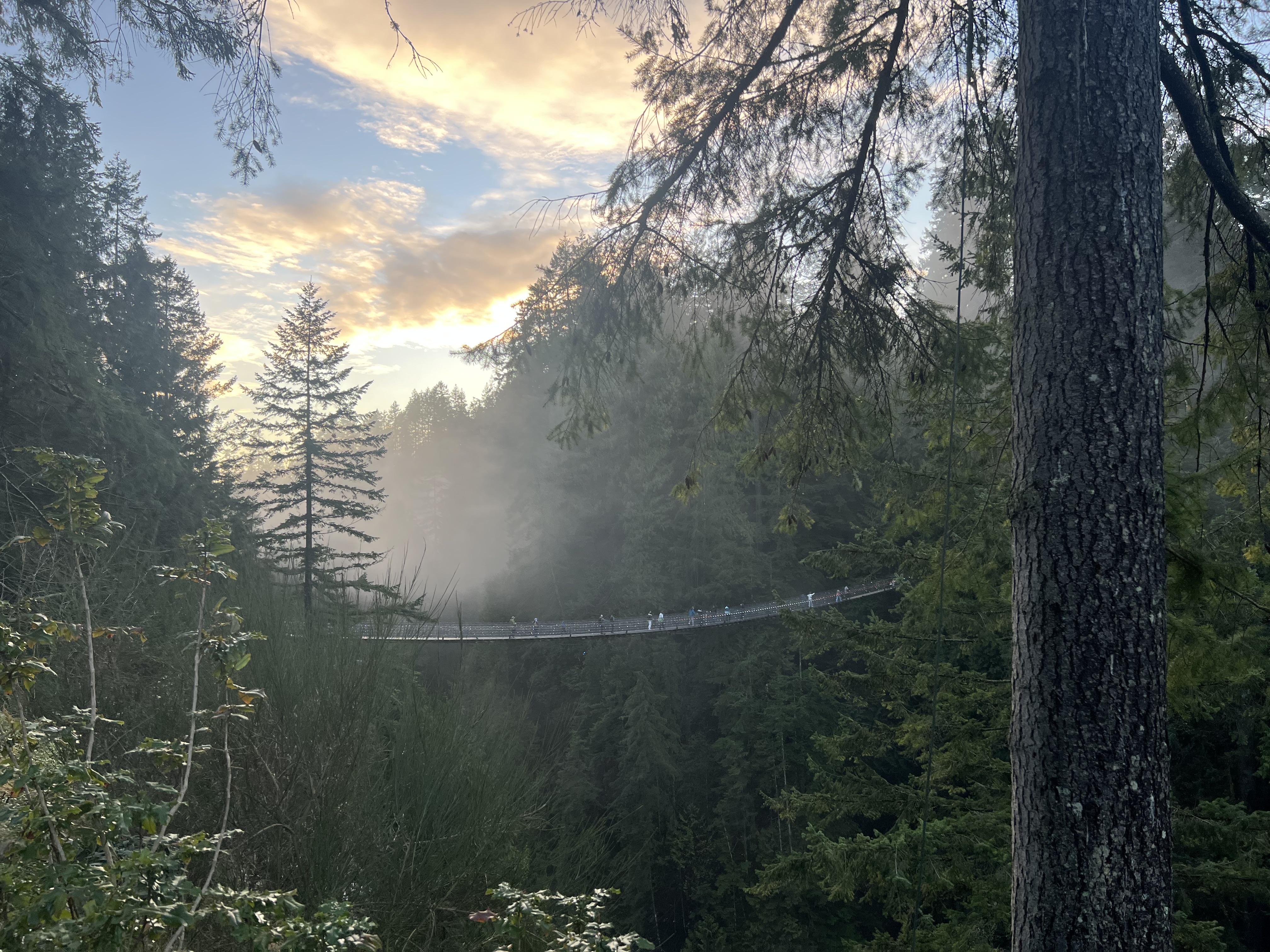 Capilano