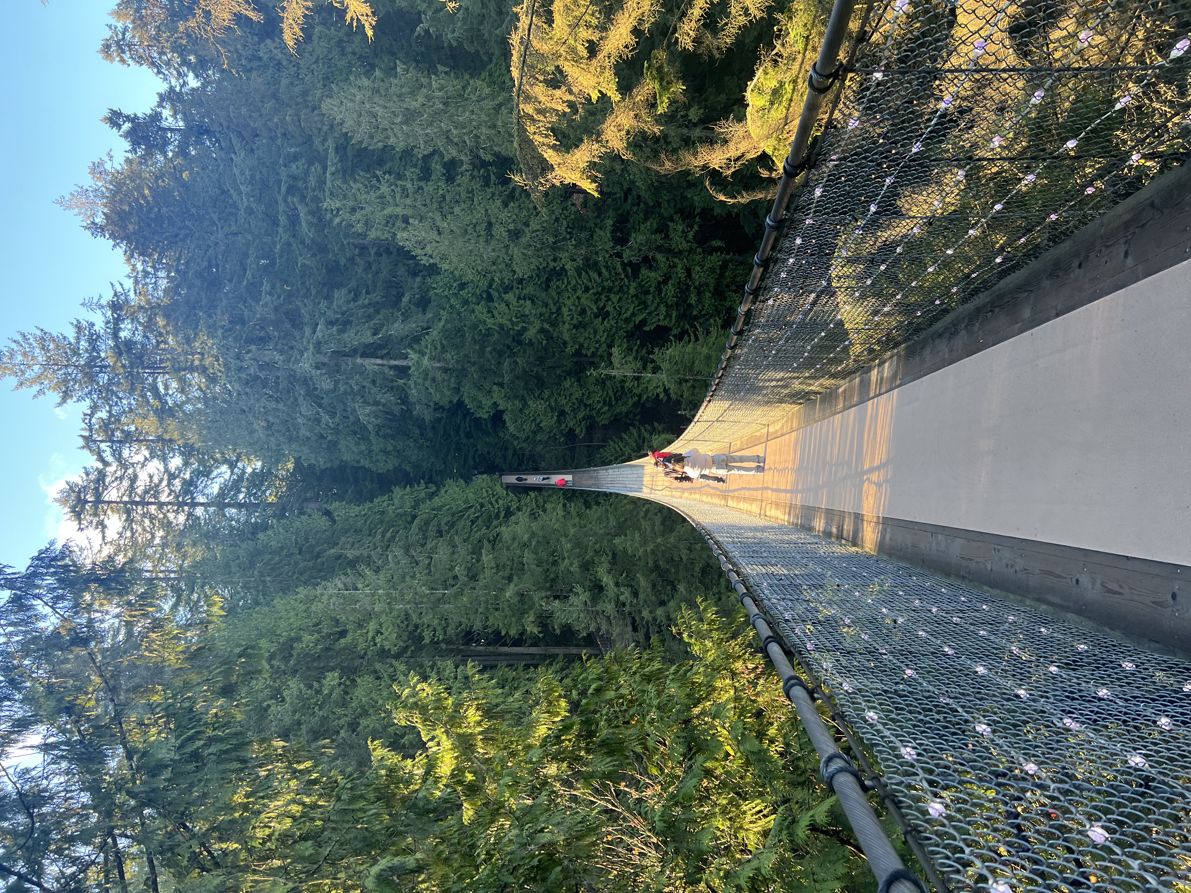 Capilano