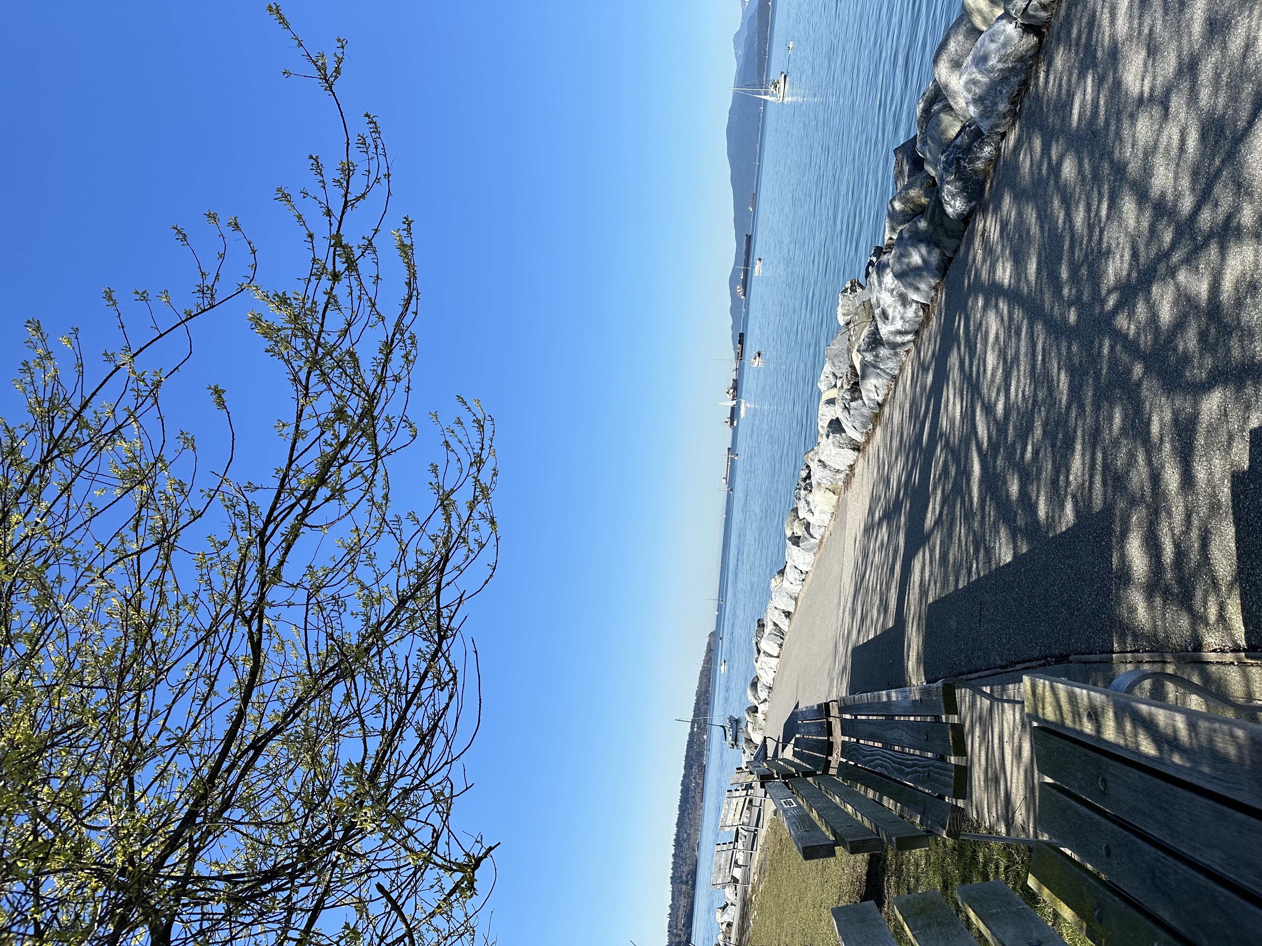 Kitsilano