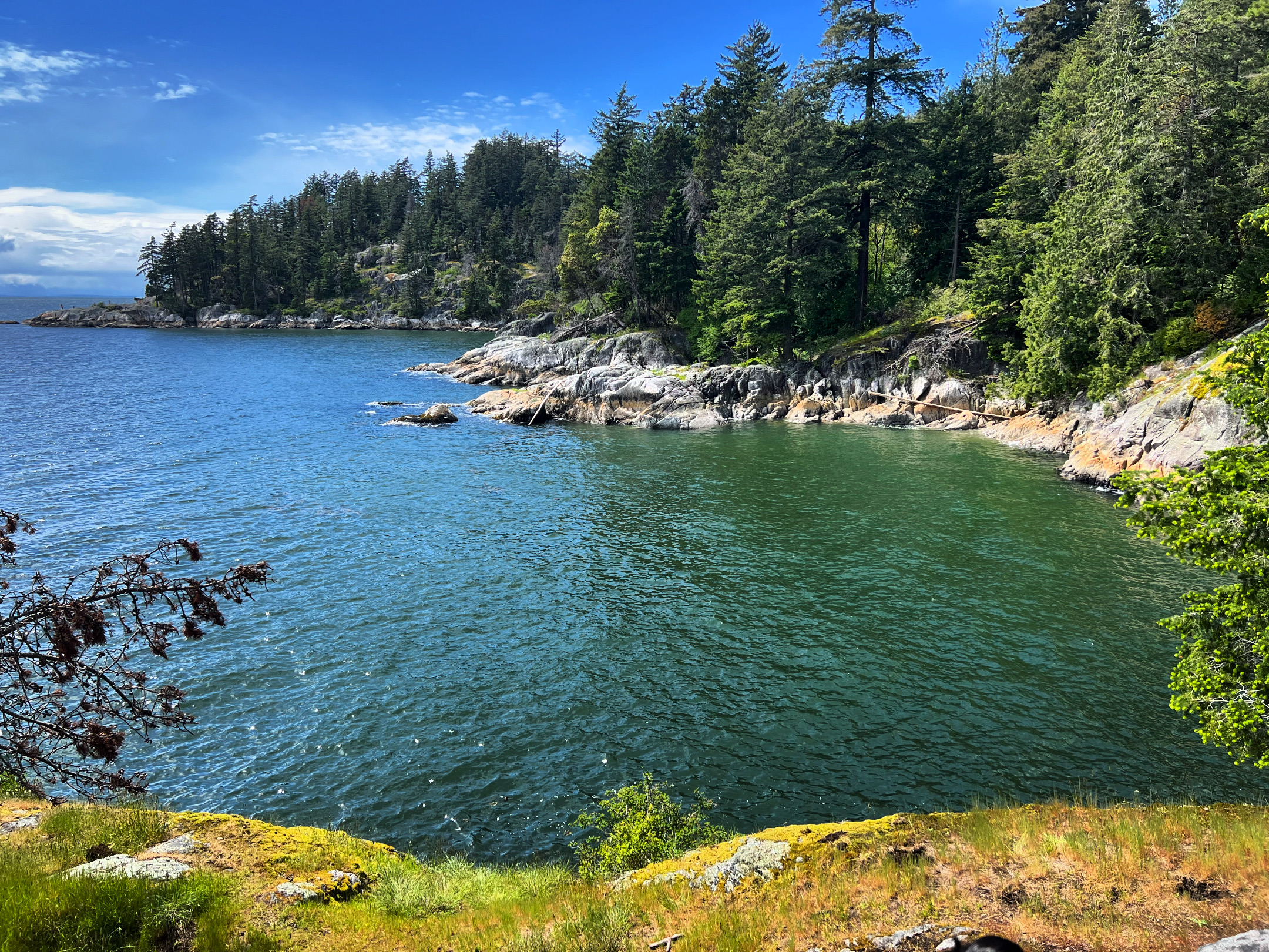 Lighthouse Park