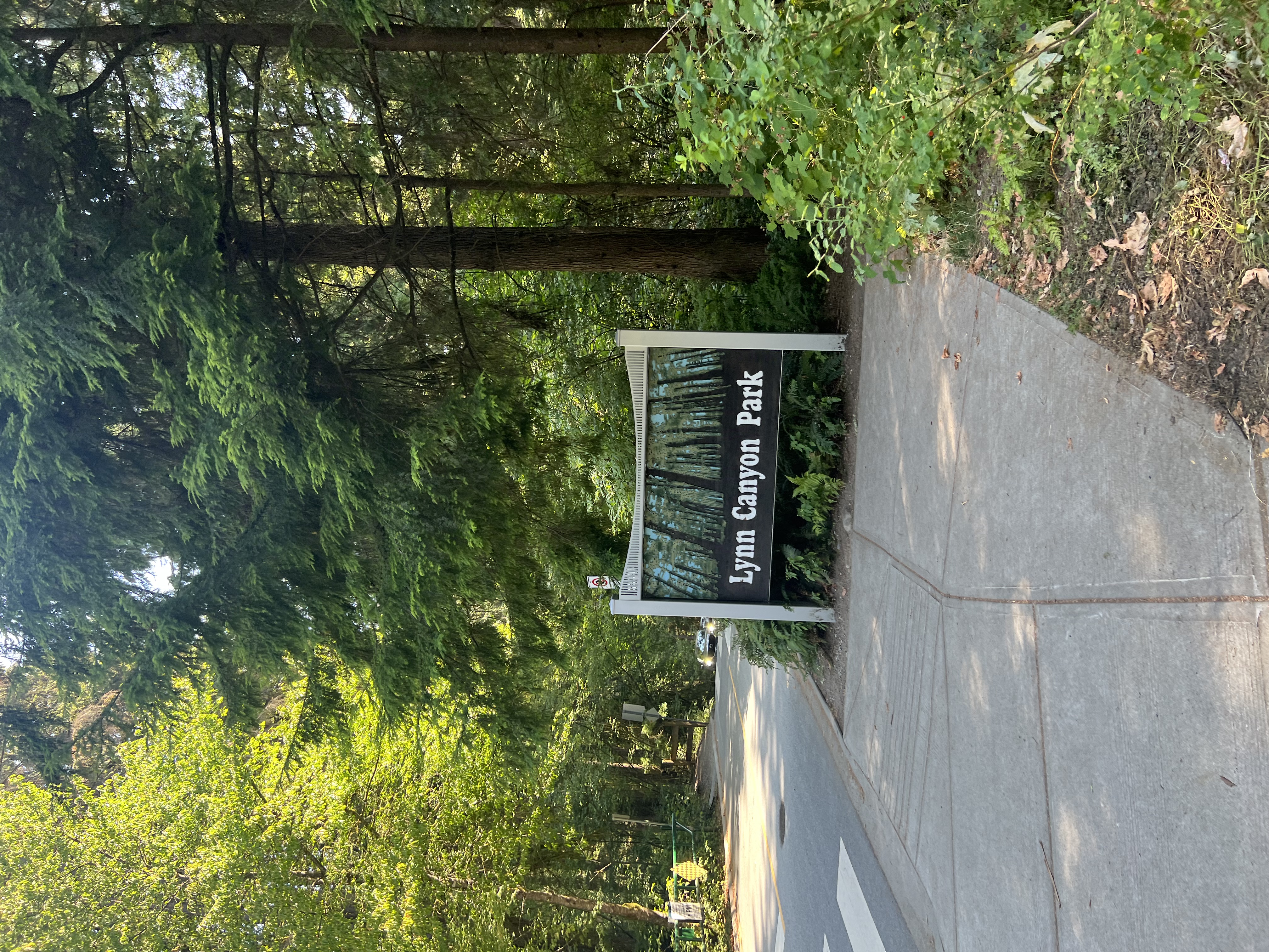 Lynn Canyon