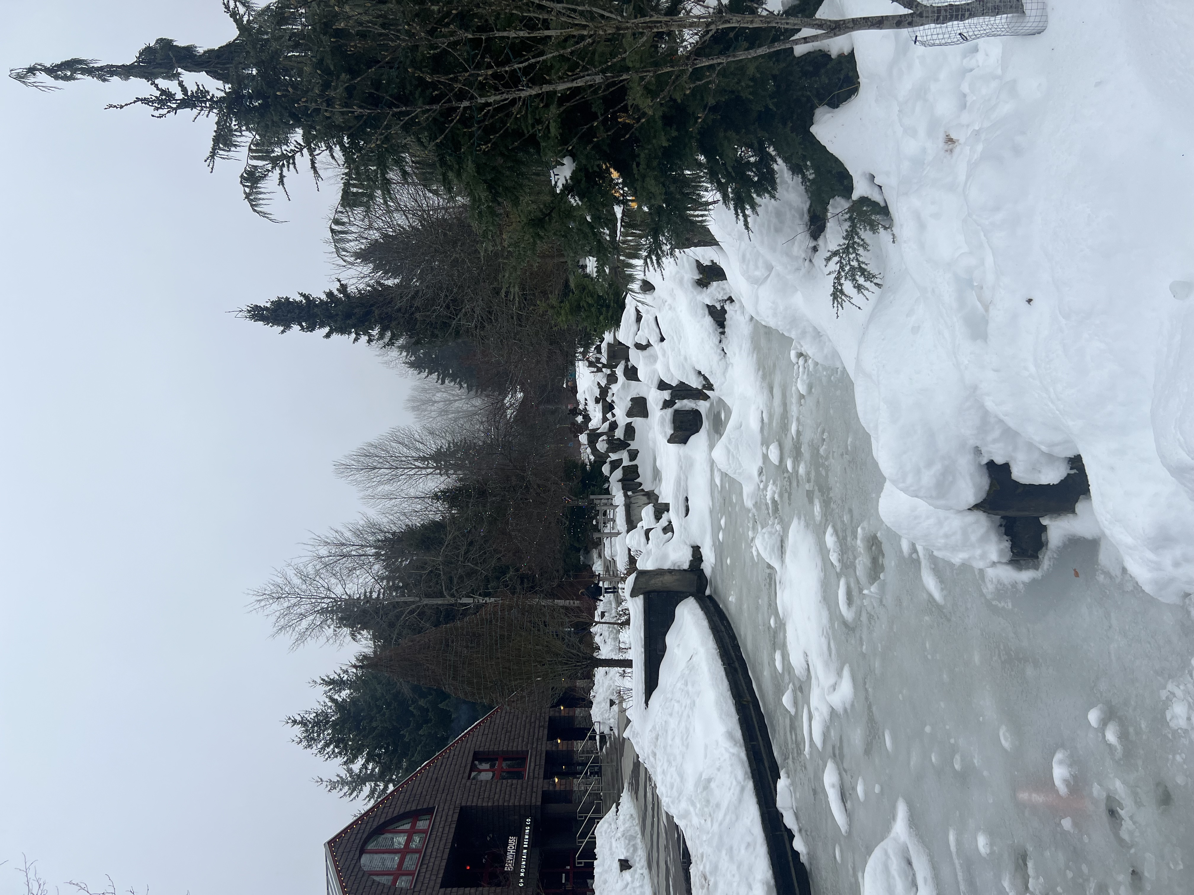 Whistler